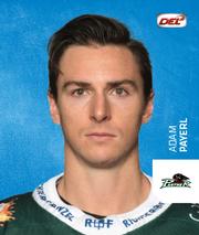 2018-19 Playercards Stickers (DEL) #27 Adam Payerl Front