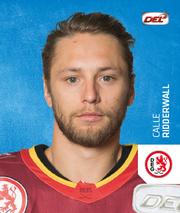 2018-19 Playercards Stickers (DEL) #94 Calle Ridderwall Front