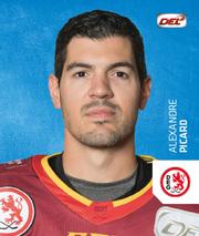 2018-19 Playercards Stickers (DEL) #102 Alexandre Picard Front