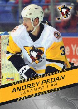 2017-18 Choice Wilkes-Barre/Scranton Penguins (AHL) #06 Andrey Pedan Front