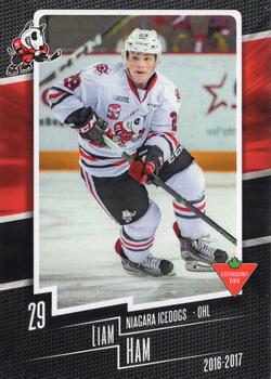 2016-17 Extreme Canadian Tire Niagara IceDogs (OHL) #22 Liam Ham Front