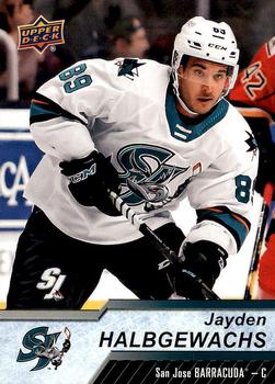 2018-19 Upper Deck AHL #39 Jayden Halbgewachs Front