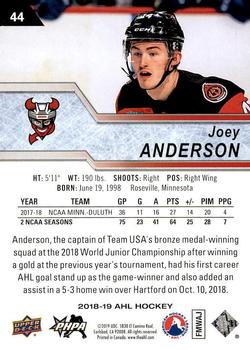 2018-19 Upper Deck AHL #44 Joey Anderson Back
