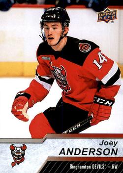 2018-19 Upper Deck AHL #44 Joey Anderson Front