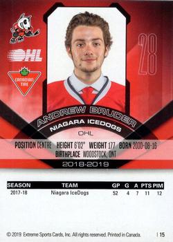 2018-19 Extreme Niagara IceDogs (OHL) #15 Andrew Bruder Back