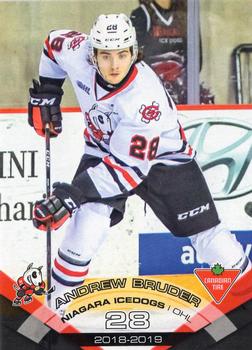 2018-19 Extreme Niagara IceDogs (OHL) #15 Andrew Bruder Front