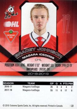 2018-19 Extreme Niagara IceDogs (OHL) #22 Bradey Johnson Back