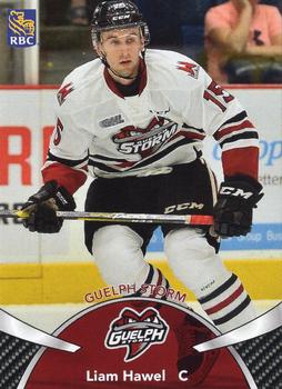 2018-19 Guelph Storm (OHL) Police #A-09 Liam Hawel Front