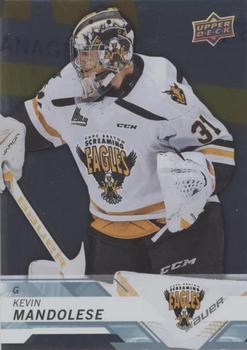2018-19 Upper Deck CHL - Silver #163 Kevin Mandolese Front