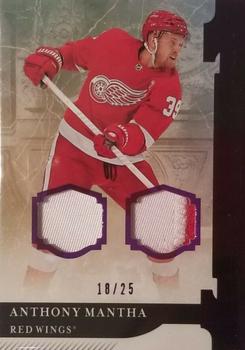 2019-20 Upper Deck Artifacts - Materials Purple #18 Anthony Mantha Front