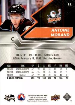 2019-20 Upper Deck AHL #55 Antoine Morand Back