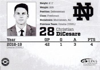 2019-20 Notre Dame Fighting Irish (NCAA) #NNO Christian DiCesare Back