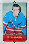 1969-70 O-Pee-Chee - Four-in-One Mini-Cards Singles #NNO Ed Giacomin Front
