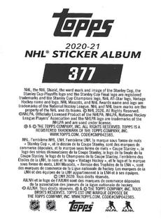 2020-21 Topps NHL Sticker Collection #377 Iceburgh Back