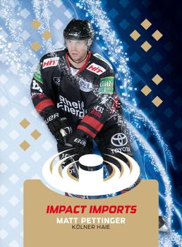 2010-11 Playercards (DEL) - Impact Imports #DEL-II11 Matt Pettinger Front