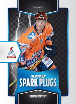 2010-11 Playercards (DEL) - Spark-Plugs #DEL-SP07 Pat Kavanagh Front
