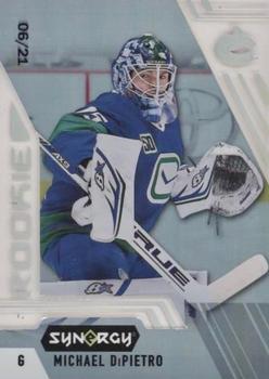 2020-21 Upper Deck Synergy #105 Michael DiPietro Front
