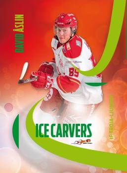 2011-12 HockeyAllsvenskan - Ice Carvers #ALLS-IC09 David Aslin Front
