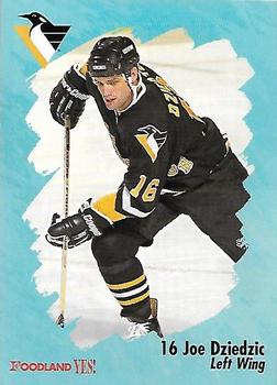 1995-96 Foodland Pittsburgh Penguins #13 Joe Dziedzic Front
