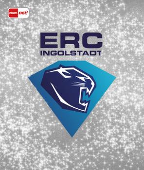 2020-21 Playercards Stickers (DEL) #106 ERC Ingolstadt Front