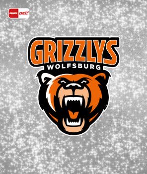 2020-21 Playercards Stickers (DEL) #343 Grizzlys Wolfsburg Front