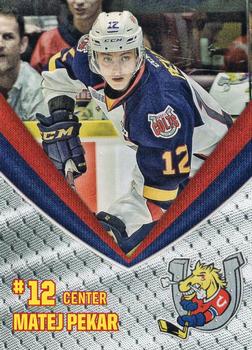 2018-19 Barrie Colts (OHL) #8 Matej Pekar Front