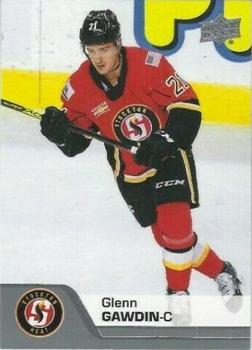 2020-21 Upper Deck AHL #29 Glenn Gawdin Front