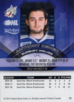 2018-19 Extreme Sudbury Wolves (OHL) #20 Anthony DeMeo Back