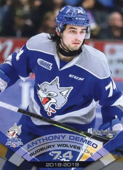 2018-19 Extreme Sudbury Wolves (OHL) #20 Anthony DeMeo Front