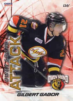 2013-14 Choice Owen Sound Attack (OHL) #7 Gilbert Gabor Front