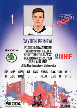 2019 Taiga IIHF World Championship Team USA #USA19/01 Cayden Primeau Back