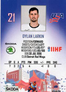 2019 Taiga IIHF World Championship Team USA #USA19/20 Dylan Larkin Back