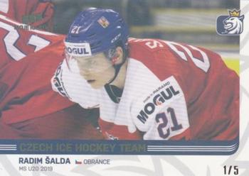 2018-19 Moje karticky Czech Ice Hockey Team - Gold Rainbow #81 Radim Salda Front