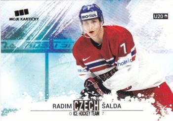 2017-18 Moje karticky Czech Ice Hockey Team - Gold #53 Radim Salda Front