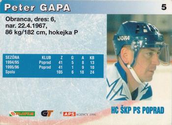 1996-97 APS HESR (Slovak) #5 Peter Gapa Back