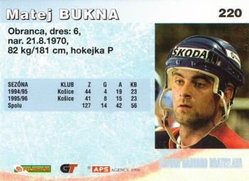 1996-97 APS HESR (Slovak) #220 Matej Bukna Back