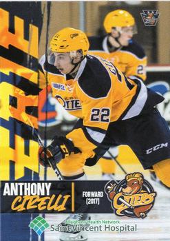 2021-22 Choice Erie Otters (OHL) 25th Anniversary #11 Anthony Cirelli Front