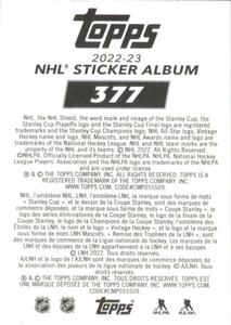 2022-23 Topps NHL Sticker Collection #377 Iceburgh Back