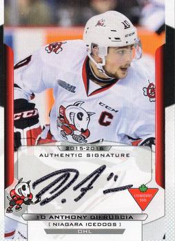2015-16 Extreme Niagara IceDogs (OHL) Autographs #6 Anthony Difruscia Front