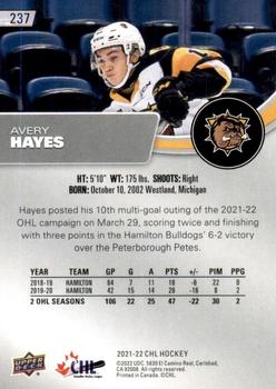 2021-22 Upper Deck CHL #237 Avery Hayes Back