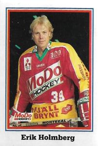 1993-94 Semic Elitserien (Swedish) Stickers #215 Erik Holmberg Front