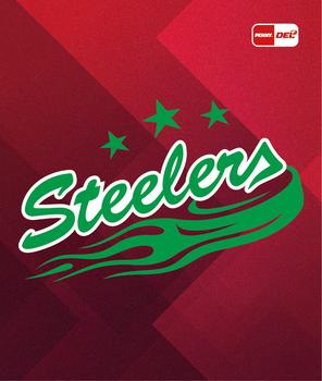 2022-23 Playercards Stickers (DEL) #049 Logo Bietigheim Steelers Front