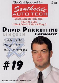 2013-14 Lincoln Stars (USHL) Series 1 #18 David Parrottino Back