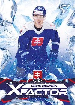 2023 SportZoo Hokejové Slovensko - X-Factor 3D #XF-07 David Mudrak Front
