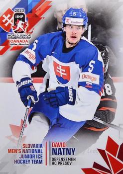 2023 BY Cards IIHF World Junior Championship #117 David Natny Front