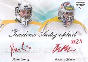 2022 Premium Cards Masked Stories - Tandems Autographed Red #TA-AHRB Adam Horak / Richard Behula Front