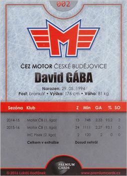 2016-17 Ceske Budejovice Gold Jersey - Home Jersey #2 David Gaba Back
