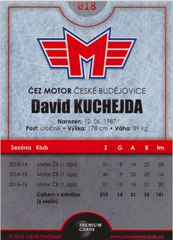 2016-17 Ceske Budejovice Gold Jersey - Home Jersey #18 David Kuchejda Back