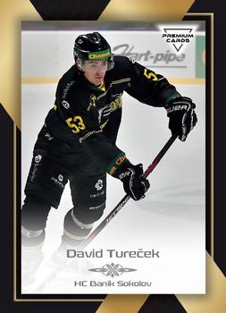 2020-21 Premium Cards CHANCE liga #96 David Turecek Front