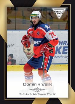 2020-21 Premium Cards CHANCE liga #231 Dominik Valik Front